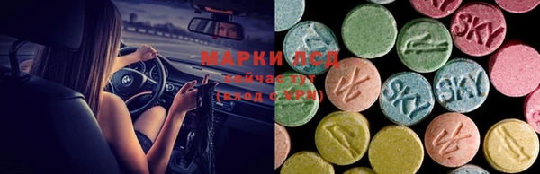 сатива Алексеевка