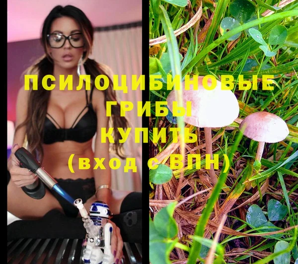 молекула духа Алзамай