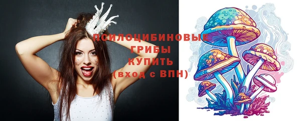 сатива Алексеевка