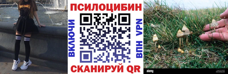 Псилоцибиновые грибы Psilocybine cubensis Краснослободск